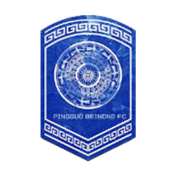 广东体彩湛江粤湛女足